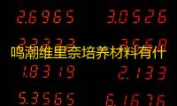 鸣潮维里奈培养材料有什么